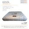 ที่นอนยางพารา 7 ZONE KENTA - Image 2